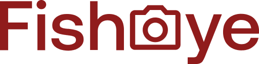logo fishey